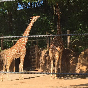 Meet your Posher, Sandra